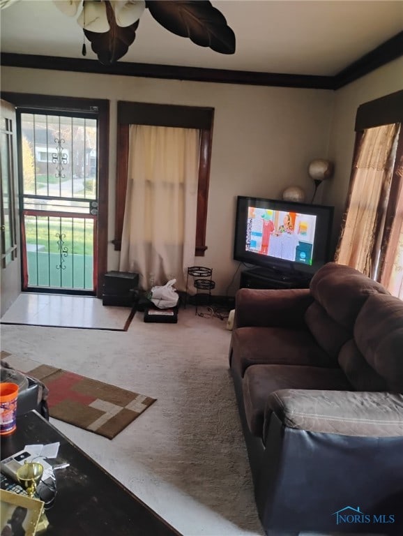 501 E Oakland St, Toledo, OH 43608 - photo 3