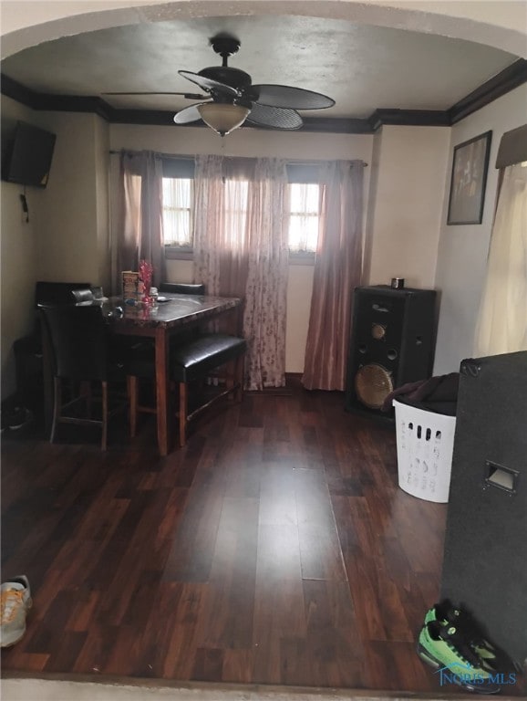 501 E Oakland St, Toledo, OH 43608 - photo 5