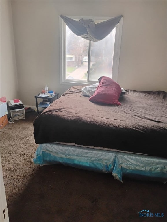 501 E Oakland St, Toledo, OH 43608 - photo 18