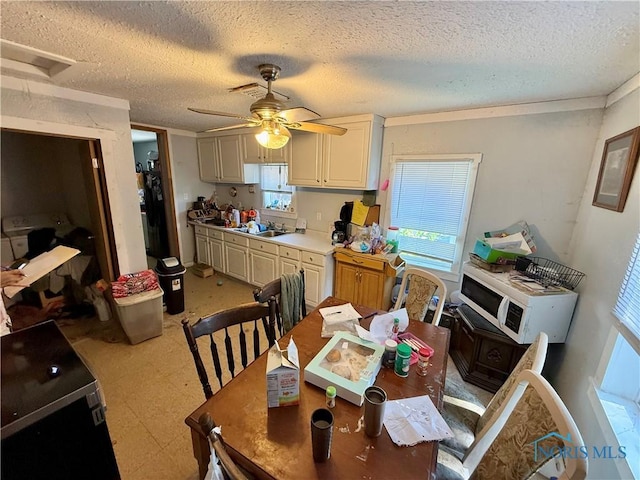 651 S Crissey Rd, Holland, OH 43528 - photo 12