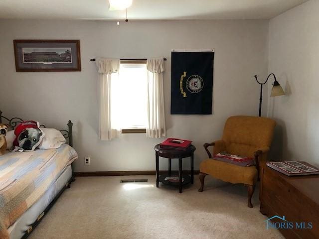 1006 Selby St, Findlay, OH 45840 - photo 21