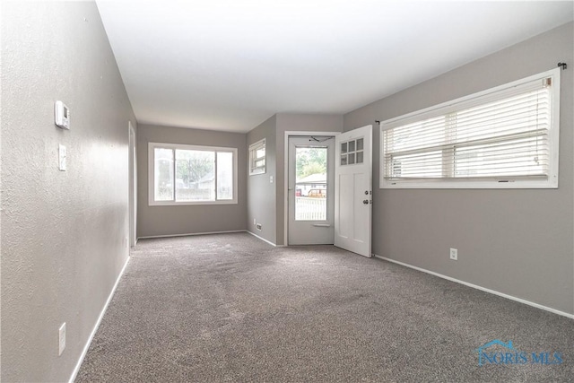 4641 Naomi Dr, Toledo, OH 43623 - photo 6