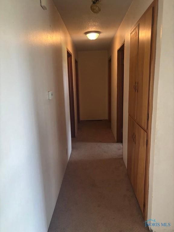 16748 US Highway 20ns, Pioneer, OH 43554 - photo 3