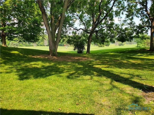435 Front St, Upper Sandusky, OH 43351 - photo 6