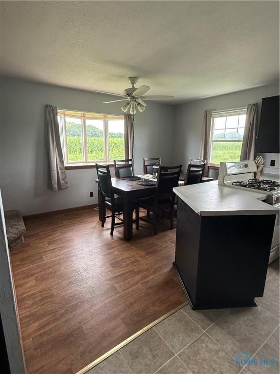 13397 County Road M, Wauseon, OH 43567 - photo 9