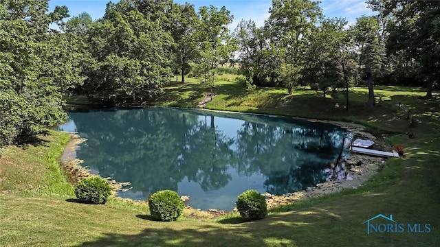 16052 County Road 424, Napoleon, OH 43545 - photo 21