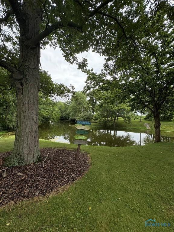 16052 County Road 424, Napoleon, OH 43545 - photo 24