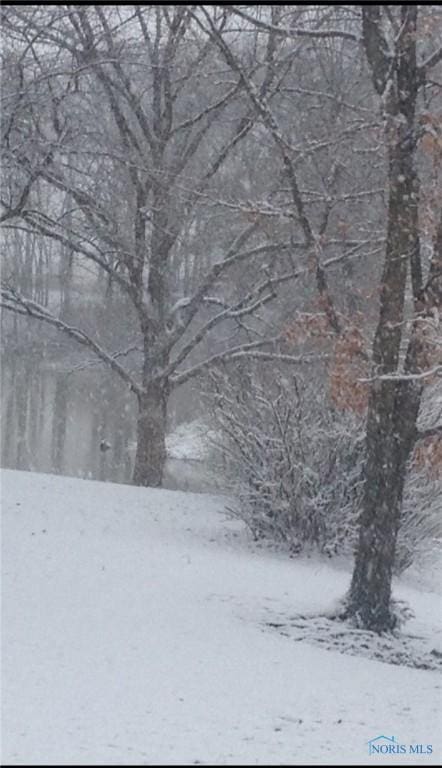 16052 County Road 424, Napoleon, OH 43545 - photo 28