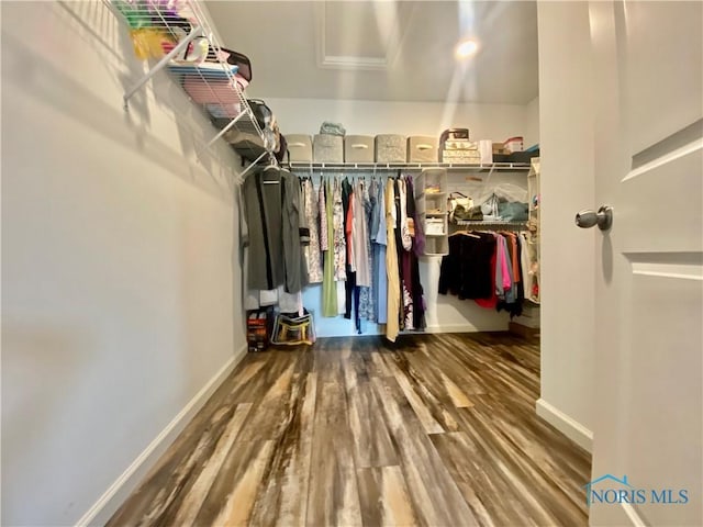 5131 Comstock Dr, Sylvania, OH 43560 - photo 19