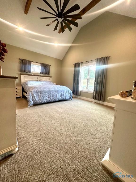11158 Whitetail Way, Whitehouse, OH 43571 - photo 22