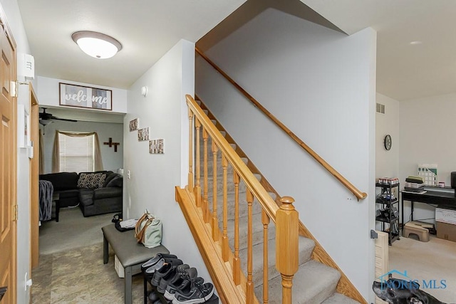 2159 Redbud Ln, Delta, OH 43515 - photo 22