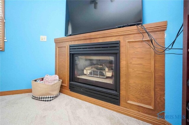 411 Elm St, Findlay, OH 45840 - photo 22