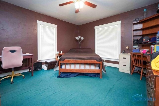411 Elm St, Findlay, OH 45840 - photo 26