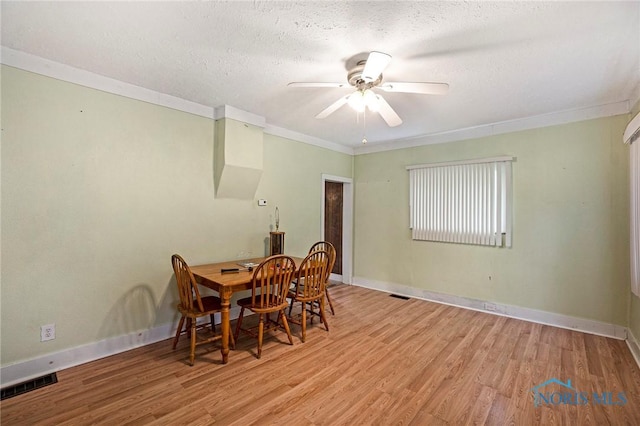 433 E Main St, Napoleon, OH 43545 - photo 6