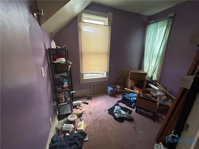 245 Langdon St, Toledo, OH 43609 - photo 14
