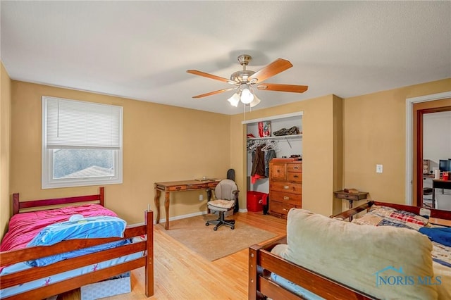 2258 Tanglewood Dr, Toledo, OH 43614 - photo 22