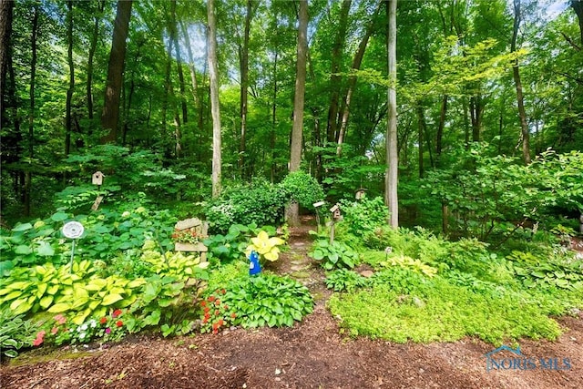 1136 Wentworth, Holland, OH 43528 - photo 47