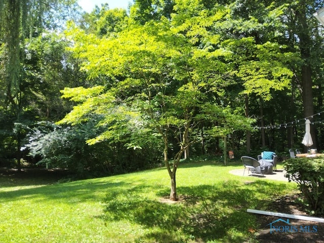 6667 Echo Vly, Maumee, OH 43537 - photo 13