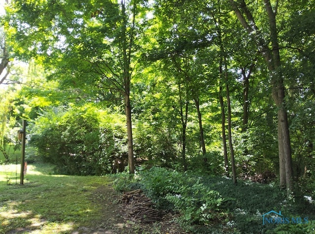 6667 Echo Vly, Maumee, OH 43537 - photo 14