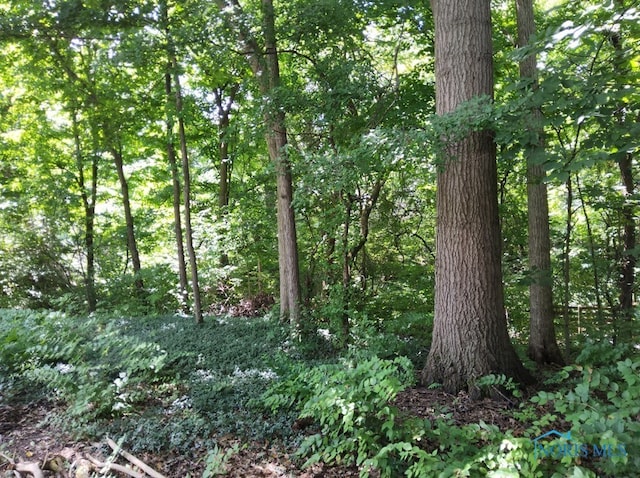 6667 Echo Vly, Maumee, OH 43537 - photo 15