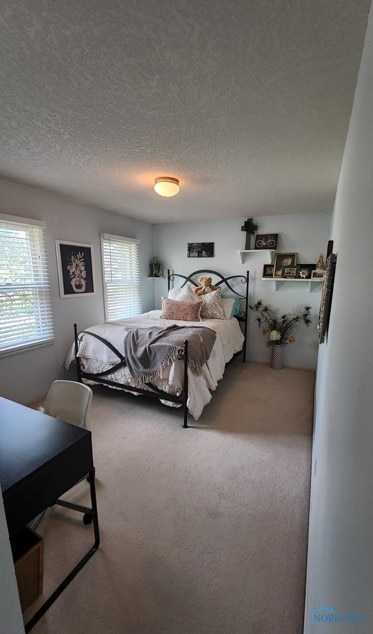6667 Echo Vly, Maumee, OH 43537 - photo 25