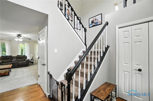 3508 Chagrin Vly, Findlay, OH 45840 - photo 18
