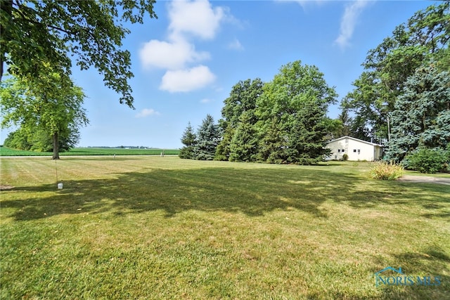 16864 Oil Center Rd, Cygnet, OH 43413 - photo 40