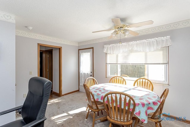 5104 Tillimon Trl, Toledo, OH 43623 - photo 21