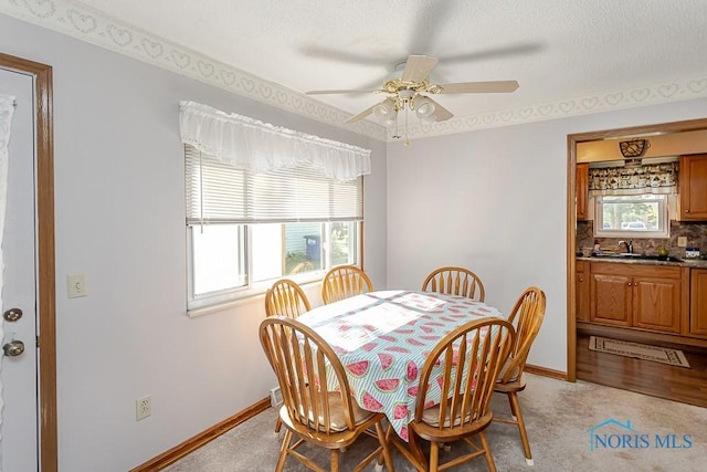 5104 Tillimon Trl, Toledo, OH 43623 - photo 24