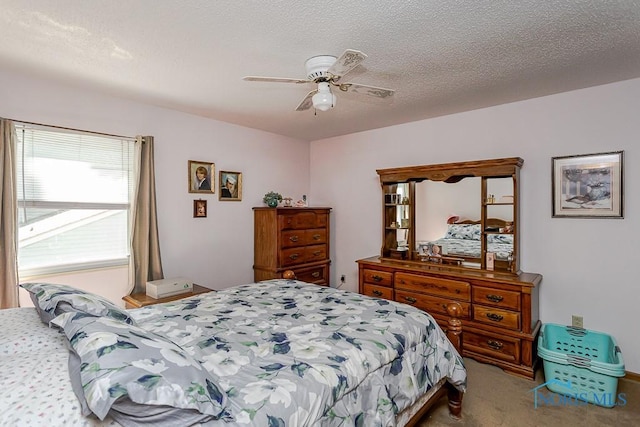 5104 Tillimon Trl, Toledo, OH 43623 - photo 30