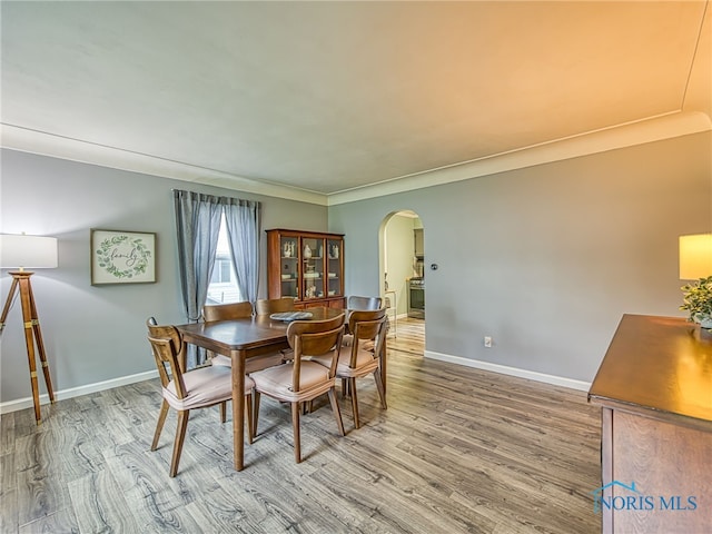 4753 Luann Ave, Toledo, OH 43623 - photo 3