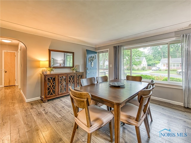 4753 Luann Ave, Toledo, OH 43623 - photo 5