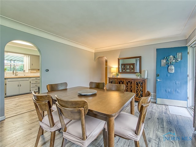 4753 Luann Ave, Toledo, OH 43623 - photo 6