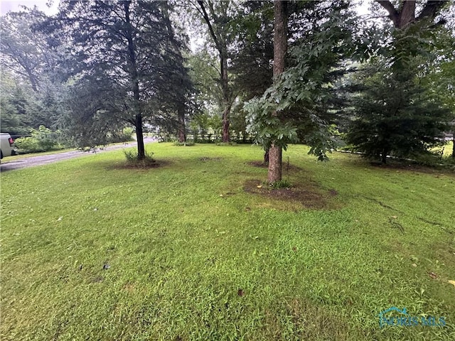 1021 N Crissey Rd, Holland, OH 43528 - photo 16
