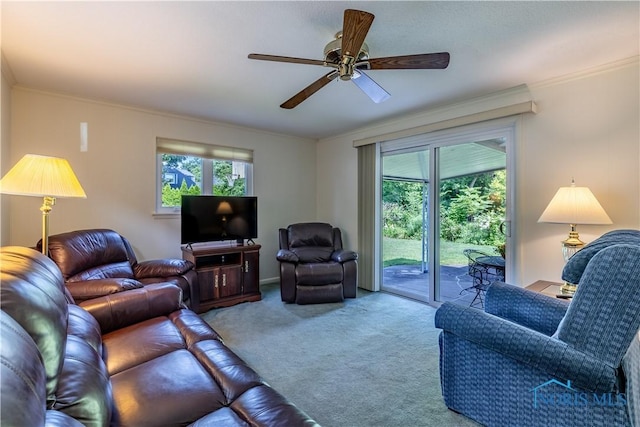 3133 Aldringham Rd, Toledo, OH 43606 - photo 20