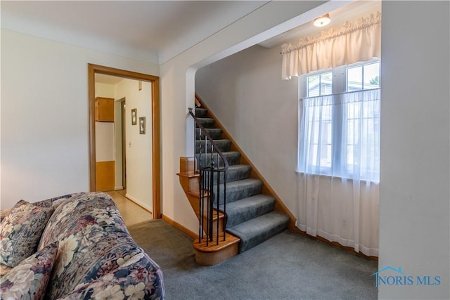 3133 Aldringham Rd, Toledo, OH 43606 - photo 24