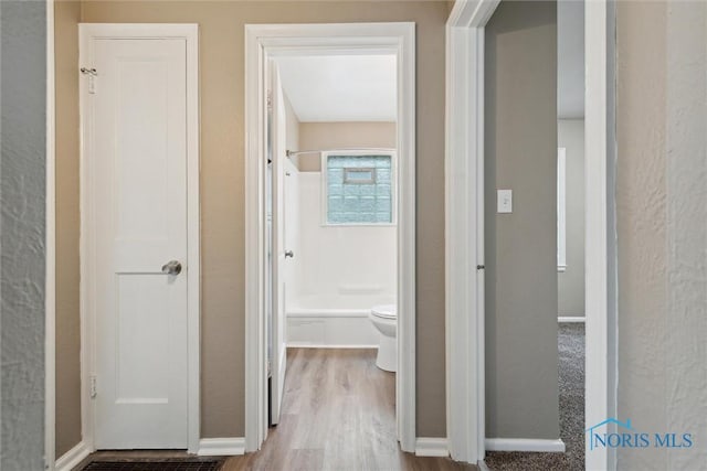 1110 Cribb St, Toledo, OH 43612 - photo 24
