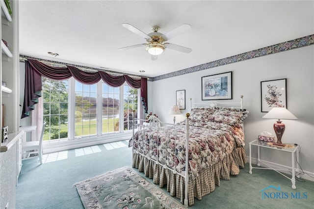 7 Tremore Way, Holland, OH 43528 - photo 31