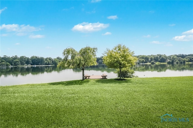7 Tremore Way, Holland, OH 43528 - photo 46