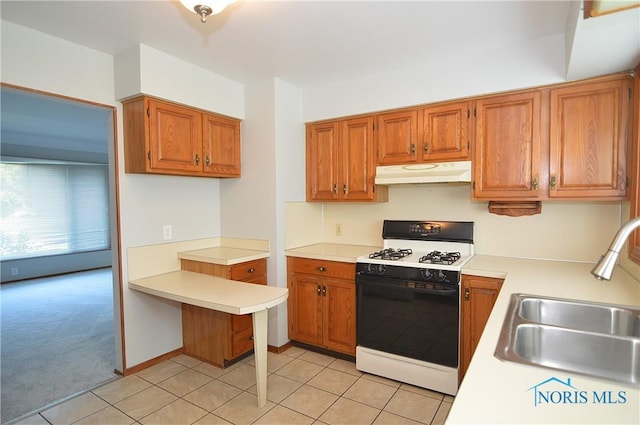4506 288th St, Toledo, OH 43611 - photo 6