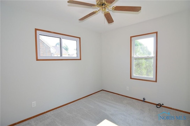 4506 288th St, Toledo, OH 43611 - photo 9