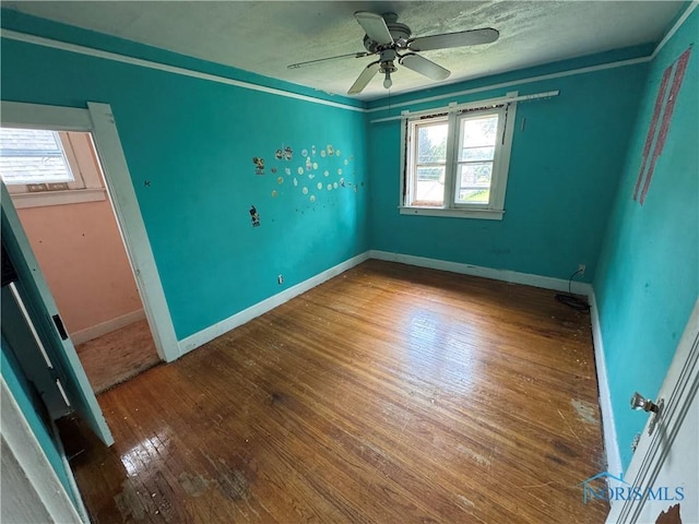 202 E Union St, Walbridge, OH 43465 - photo 5