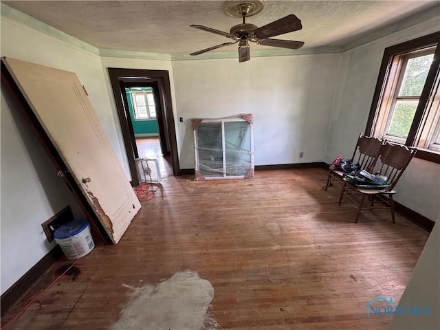 202 E Union St, Walbridge, OH 43465 - photo 9