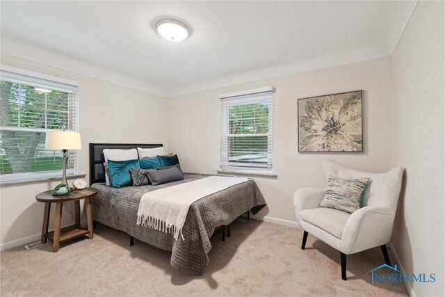 1910 Eileen Rd, Toledo, OH 43615 - photo 22