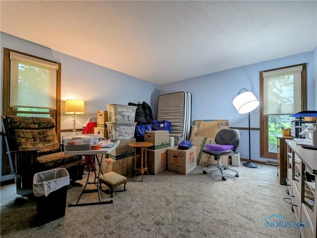 215 Lakeview Dr, Bryan, OH 43506 - photo 24