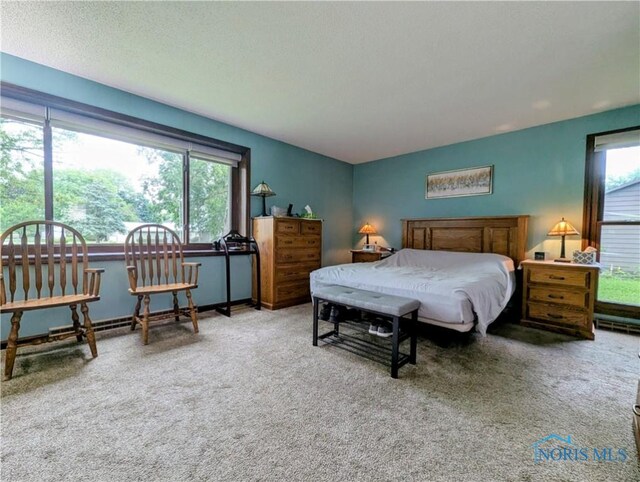 215 Lakeview Dr, Bryan, OH 43506 - photo 22