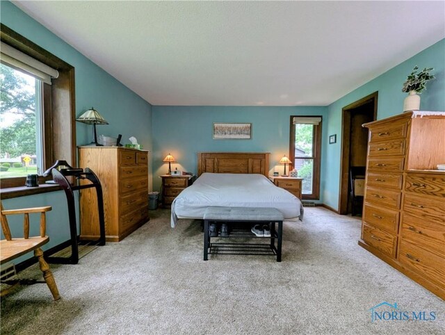 215 Lakeview Dr, Bryan, OH 43506 - photo 20
