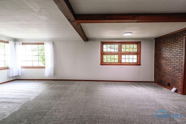 831 Adams St, Findlay, OH 45840 - photo 30