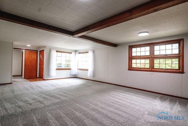 831 Adams St, Findlay, OH 45840 - photo 31