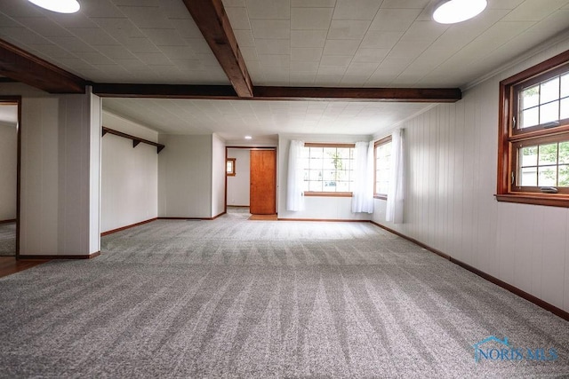 831 Adams St, Findlay, OH 45840 - photo 33
